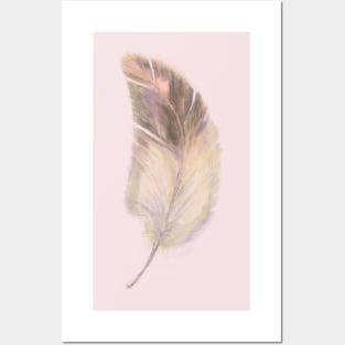 Pink and brown single feather Posters and Art